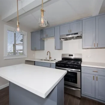 Georgia St - Modern kitchen island with appliances